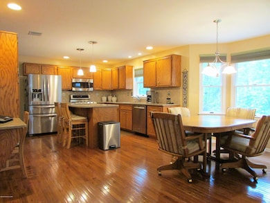 13 New Lake Dr, Drums, PA 18222 - photo 3