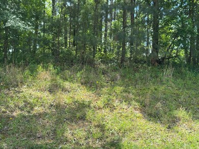 0 Mount Vintage Plantation Dr unit 541851, Edgefield, SC 29860 - photo 5