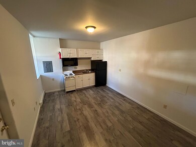 100 S Hanover St unit 5, Hershey, PA 17033 - photo 3