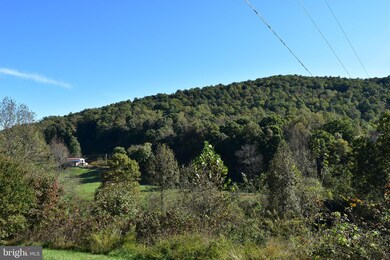 Lot 4 Buck Mountain Rd, Bentonville, VA 22610 - photo 4