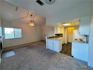 1013 Chestnut St unit D6, San Marcos, TX 78666 - photo 2