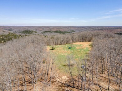 Tbd Center Rd, Ozark, MO 65721 - photo 7