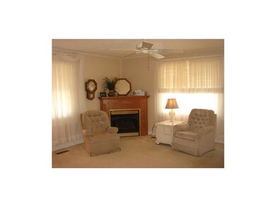 Gas Fireplace