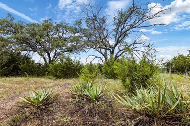 000 County Road 4630, Kempner, TX 76539 - photo 7