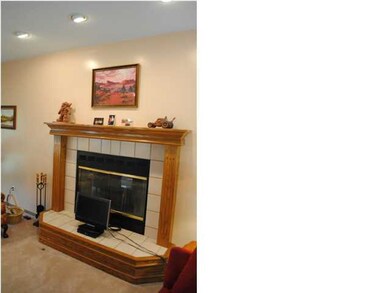 FIREPLACE in the Living Room