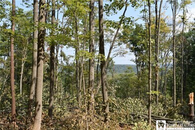 0 Route 380 unit R1636418, Ellicott, NY 14701 - photo 3