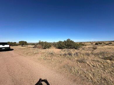 0 Vic Ranchero Rd Blackber unit 25001553, Palmdale, CA 93550 - photo 4