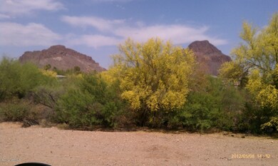 View out front door