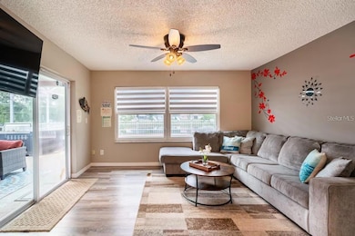 2460 Beacon Groves Blvd, Palm Harbor, FL 34683 - photo 4