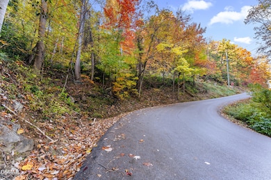 Lot 3 Bavarian Way, Gatlinburg, TN 37738 - photo 4