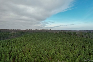 View of woods