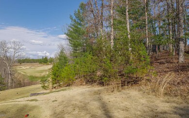 LT215 Old Toccoa Farm, Mineral Bluff, GA 30559 - photo 5