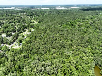 0 Lawrence Dr unit 22014221, Summerville, SC 29483 - photo 7