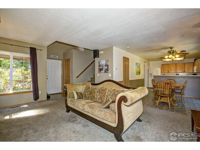 Open Main Floor