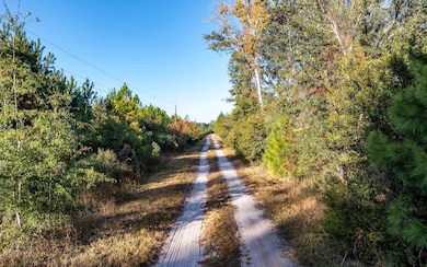 0 Tbd Cr 137, Wellborn, FL 32094 - photo 4