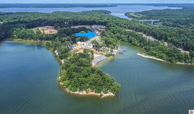 827 Eagle Point Dr unit Lot 3, Grand Rivers, KY 42045 - photo 5