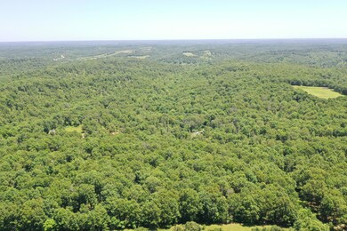 DJI_0845 (1)