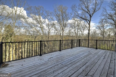 250 Wolf Creek Mountain Rd unit 19, Mineral Bluff, GA 30559 - photo 3