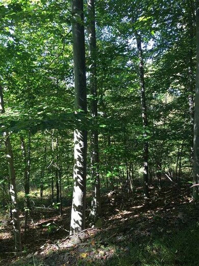 221 Tow Path Rd, Accord, NY 12404 - photo 3