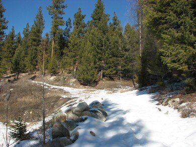 75 Coyote Springs Trail, Kila, MT 59920 - photo 3