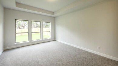 Empty room featuring carpet and a raised ceiling