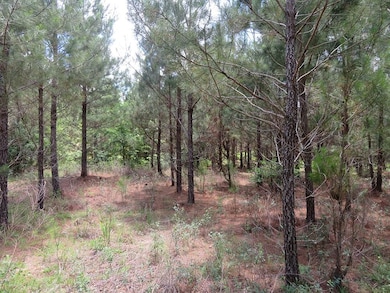 0 Louise Bell Rd, Lumpkin, GA 31815 - photo 6