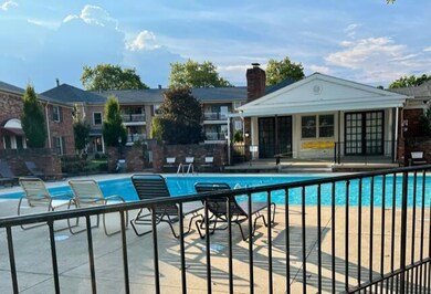 IMG_0194