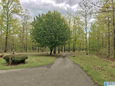 8880 Pine Mountain Rd, Pinson, AL 35126 - photo 2