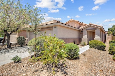 5028 Nardini Ave, Las Vegas, NV 89141 - photo 3