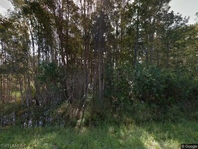 831 Dudley Ave S, Lehigh Acres, FL 33974 - photo 3