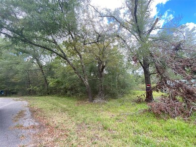 00001 Oak Bend Dr, Alvin, TX 77511 - photo 7