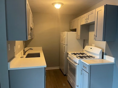 928 Jonathon Ct unit 304, Prospect Heights, IL 60070 - photo 2