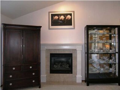 THE GAS FIREPLACE ON THE EAST WALL OF THE LIVING R