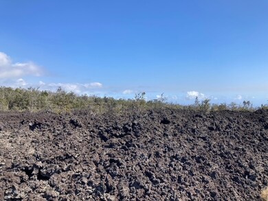 0 Ohia unit 719004, Ocean View, HI 96737 - photo 4