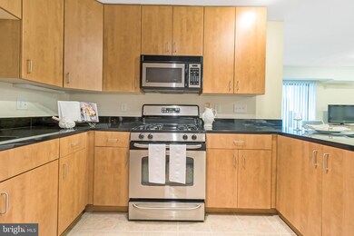 1138 Cove Rd unit 101, Annapolis, MD 21403 - photo 6