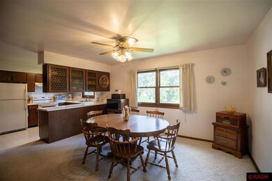 1019 10th St N, New Ulm, MN 56073 - photo 3