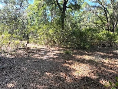 4140 S Kenvera Loop, Inverness, FL 34450 - photo 7