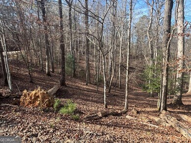 LT 727 Armor Ct, Ellijay, GA 30540 - photo 3