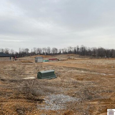 647 Elmdale Rd unit Lot 10, Paducah, KY 42003 - photo 6