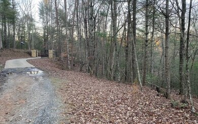 Additional View