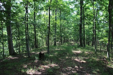 859 Brush Creek Rd, Winchester, VA 22603 - photo 4