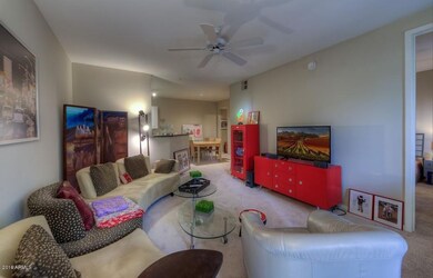 Living - Dining Room