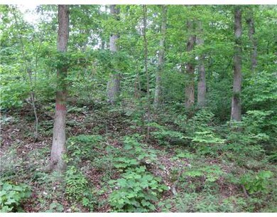 14128 Savoy Rd, Fayetteville, AR 72704 - photo 6