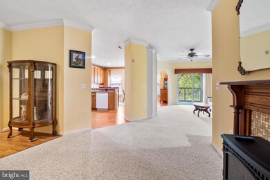 313 Willrich Cir unit G, Forest Hill, MD 21050 - photo 5