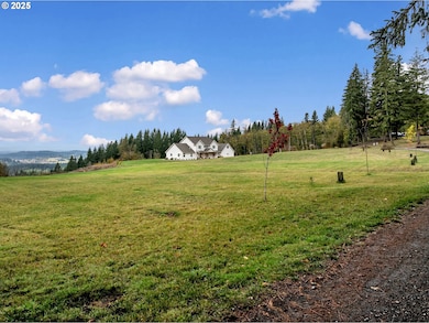 24020 NE Alvas Rd, Battle Ground, WA 98604 - photo 3