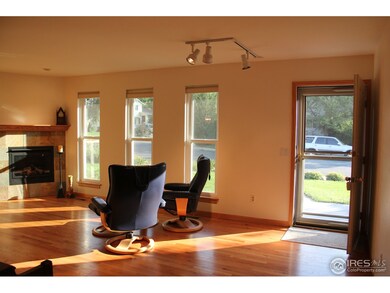 Entry and Fireplace