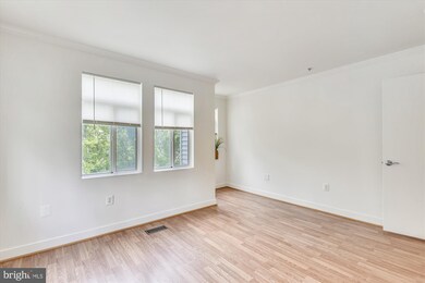 6335 Stevenson Ave unit C, Alexandria, VA 22304 - photo 4