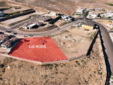 lot 305 with red
