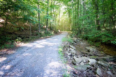 Big Falls Trail 2