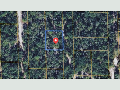 327 Michigan Dr, Hawthorne, FL 32640 - photo 2